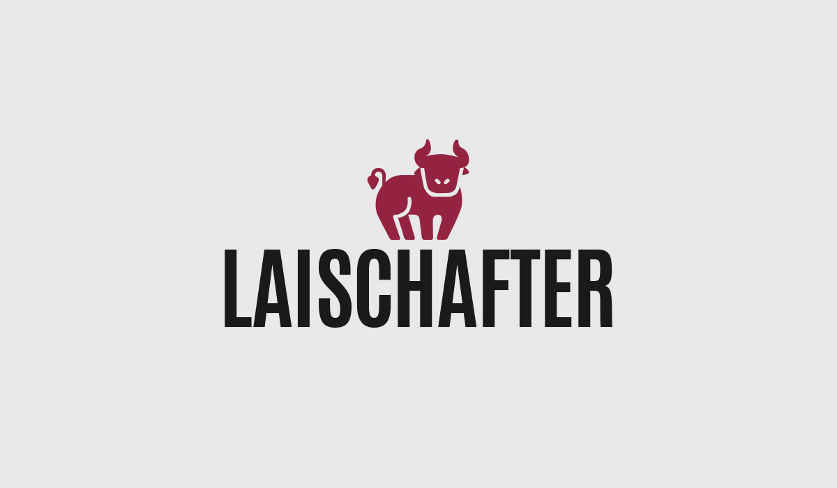 Frisch gebrautes Bier aus Osnabrück, handgefertigt wie zum Beispiel das LAISCHAFTER